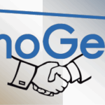 IMMOGESTE S.A