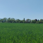 Maison 9 pièces  à acheter à Lancy