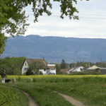 Maison à acheter à Aire-la-Ville