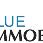 Blue Immobilier SA
