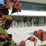 Appartement 5.5 pièces  à louer à Saint-Sulpice